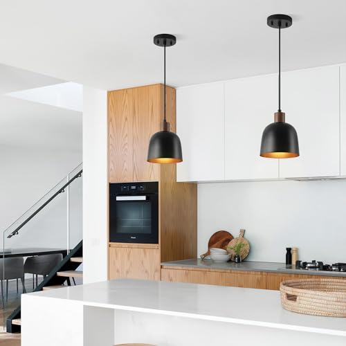 67000193 1 Light Pendant Lighting