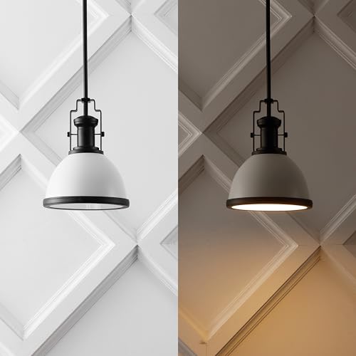 Homer Industrial Dome Pendant 10"