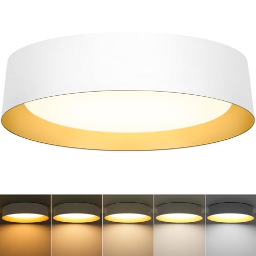 Flush Mount Ceiling Light