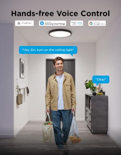 Smart Ceiling Light