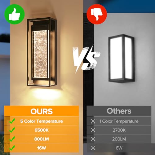 2 Pack Outdoor Wall Light Fixtures (2 Count)