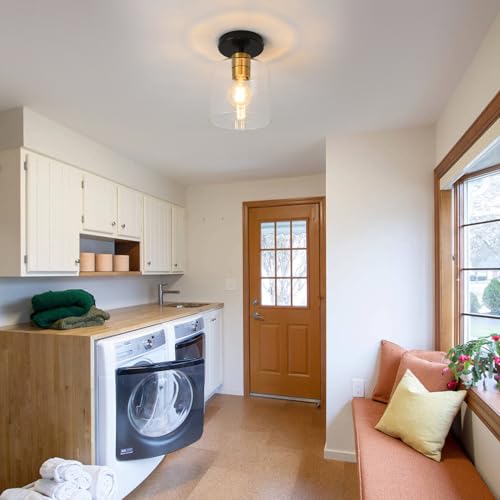 Black Brass Semi Flush Mount Ceiling Light
