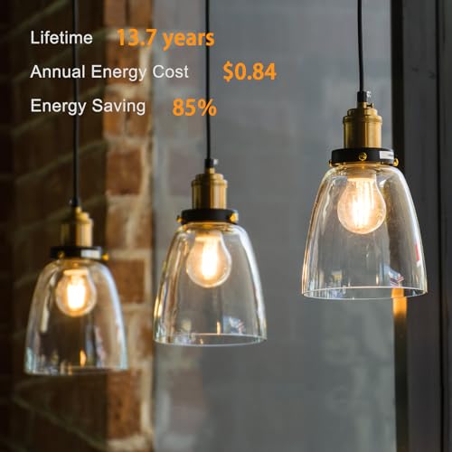 A19 LED Edison Light Bulb (24 Count)