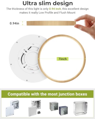 Flush Mount Ceiling Light Fixtures