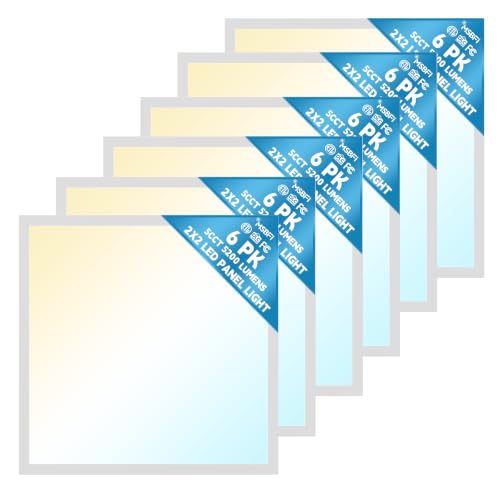 2x2 LED Flat Panel Light 6 (2x2 6Pack)