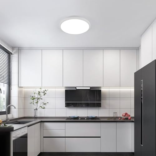 2 Pack 12 Inch LED Flush Mount Ceiling Light (2 Count)