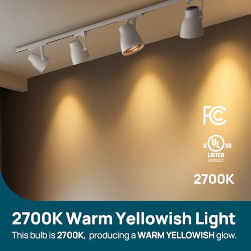 2 Pack BR30 LED Flood Light Bulbs Indoor (2 Count)
