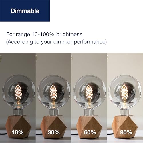 G125 Decorative Large Globe LED Bulb