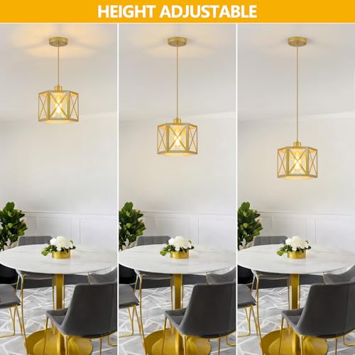 2 Pack Gold Pendant Lights (2 Count)