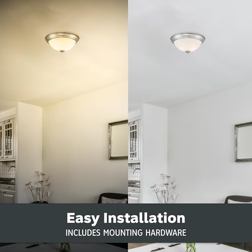 Flush Mount Ceiling Light (2 Count)
