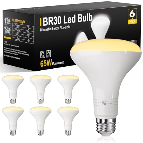 BR30 LED Light Bulbs