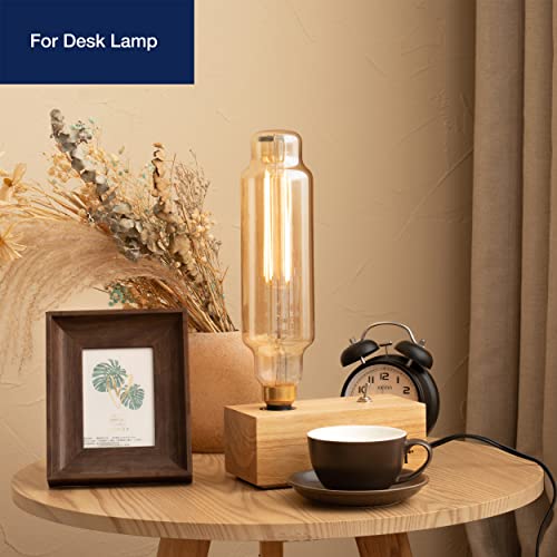 New Large Oversized Vintage LED Bulbs