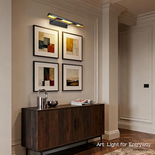 Matte Black Picture Lights for Wall