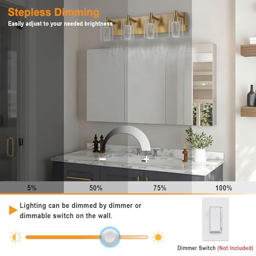 Vanity Light with 3 Color Modes (4 Count)
