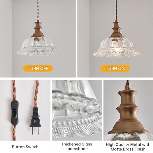 Plug in Pendant Light Fixtures Vintage Pendant Lighting with Plug in Cord Hanging Light Kitchen Glass Hanging Lamp with Switch for Island Dining Room Living Room