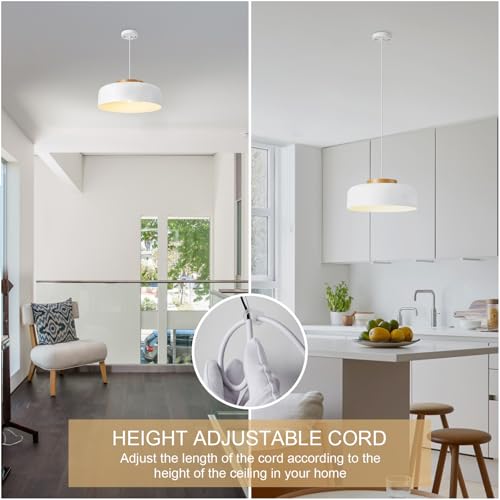 Pendant Lighting