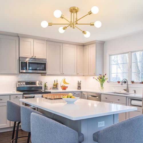 Modern Chandelier Ceiling Light Fixture