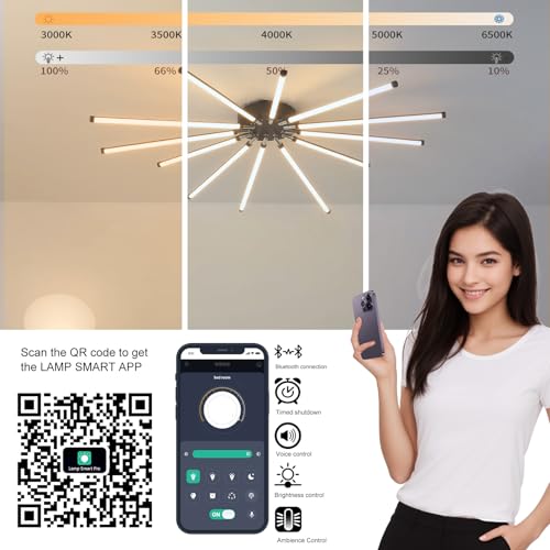 Modern LED Ceiling Light