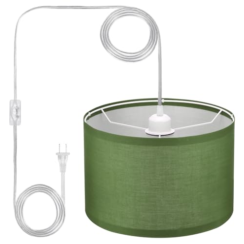 Plug in Pendant Light