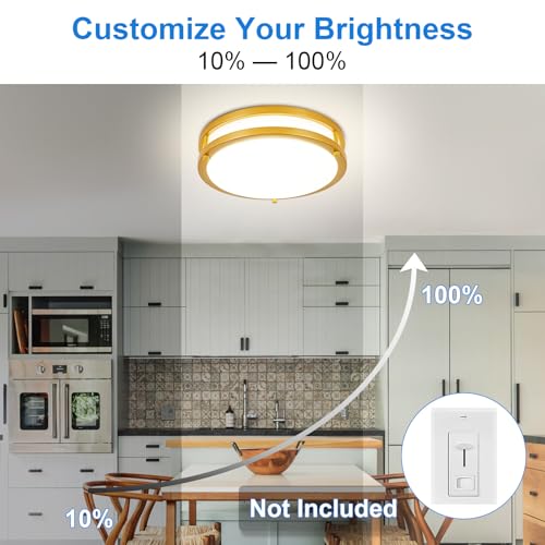 DLLT Flush Mount LED Ceiling Light