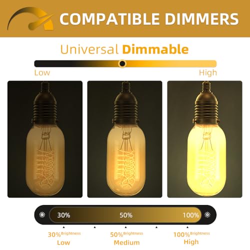 6 Pack Edison Light Bulbs 40 Watt Dimmable T45 Vintage Warm Bulbs (6 Count)