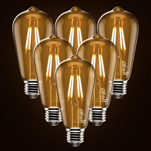 Edison Bulb ST58