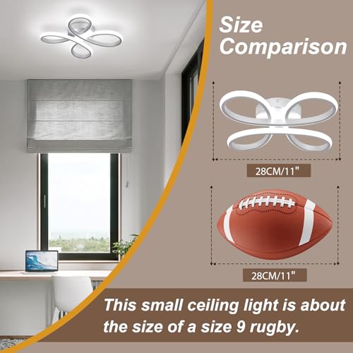 Modern LED Ceiling Light