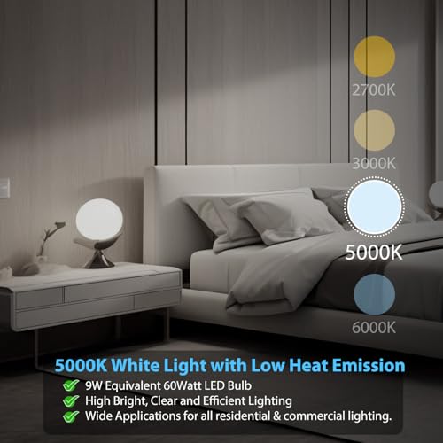 6 Pack LED Bulbs Daylight White 5000K (24 Count)