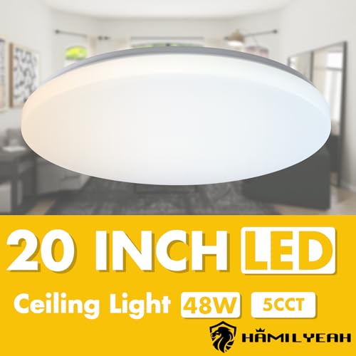 20 inch Ceiling Light Flush Mount 48W