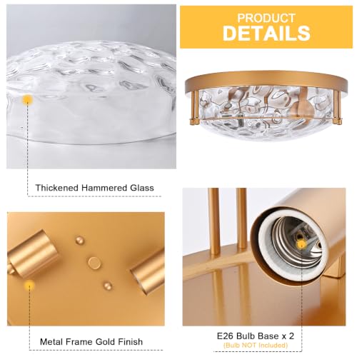Gold 2 Light Ceiling Light Fixture with Hammered Glass