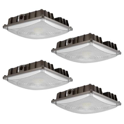 LED Canopy Lights (4 Count)