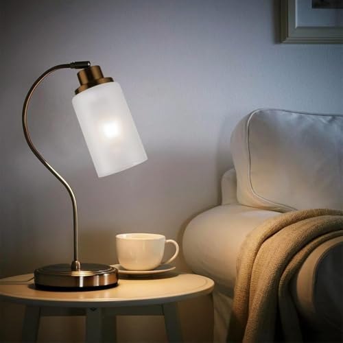 3PcS Clear Glass Lamp Shade (3 Count)