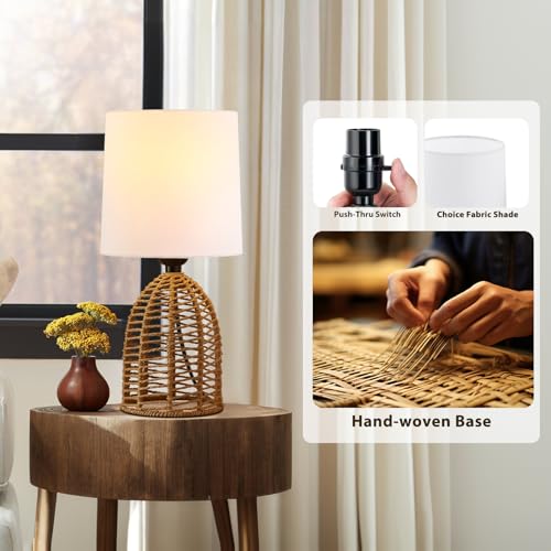 Rattan Lamp Boho Lamps Set of 2 (2 Count)