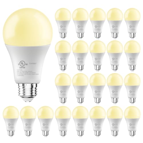 LED Light Bulbs (24 Count)