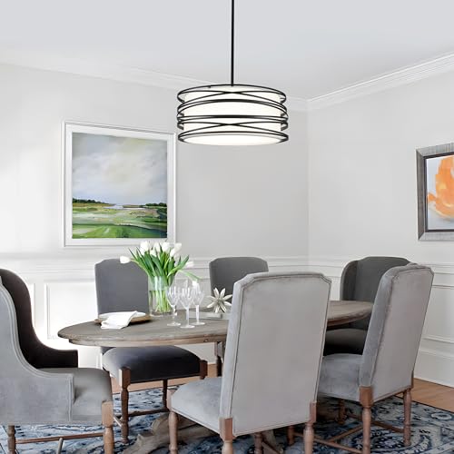 15.7'' Black Drum Chandelier for Dining Room 3