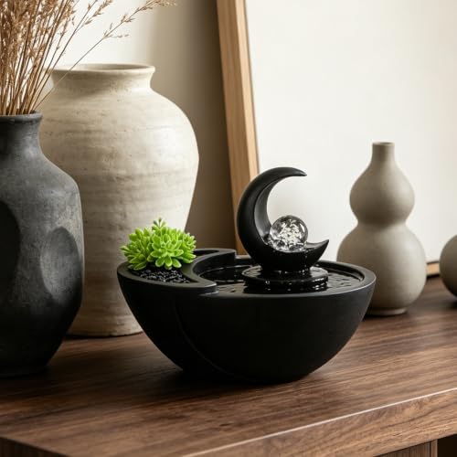 Table Fountain Indoor Water Zen Garden Decor with Succulent Plant