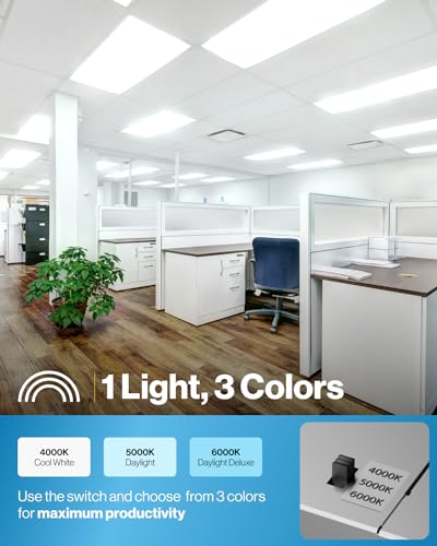 Sunco 12 Pack 2x4 LED Flat Panel Lights 3CCT Selectable (12 Count)