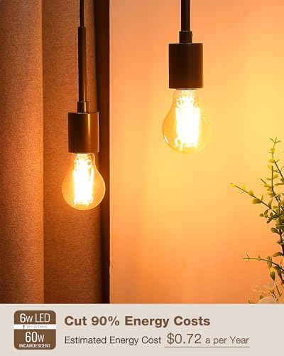 12 Pack A19 Amber Edison Bulbs (12 Count)