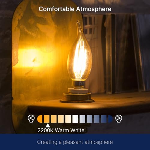 CA11 E26 LED Candelabra Bulbs (6 Count)