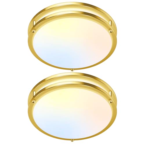 2 Pack Gold Flush Mount LED Ceiling Light Fixture (2 Count)