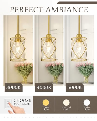 Brushed Gold Pendant Lights Kitchen Island 3 Pack (3 Count)