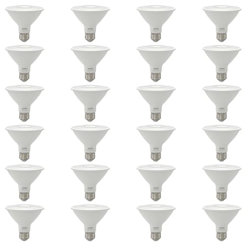 Reflector PAR30 LED Bulb (24 Count)