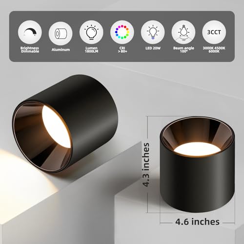 Modern LED Flush Mount Ceiling Light Fixtures for Hallway Kitchen Entryway