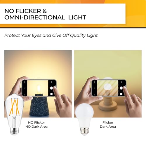 Edison Bulbs Dimmable (12 Count)