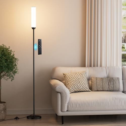 LED Floor Lamp with Remote Control