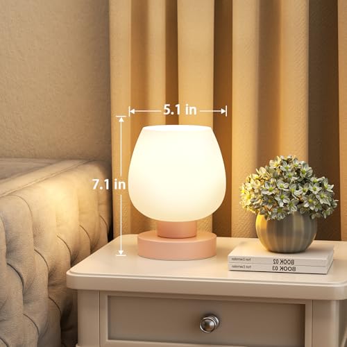 Pink Touch Table Lamp for Nightstand