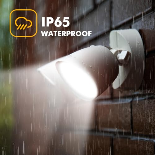 6222W 3500 Lumen 32 Watt 28 LED Dual
