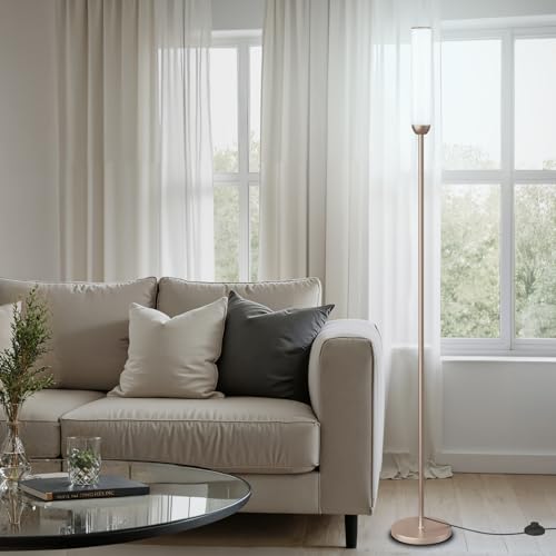 LED Floor Lamp with Remote Control