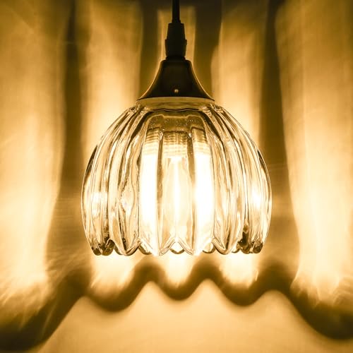 Clear Tulip Glass Lamp Shades Set of 2 (2 Count)