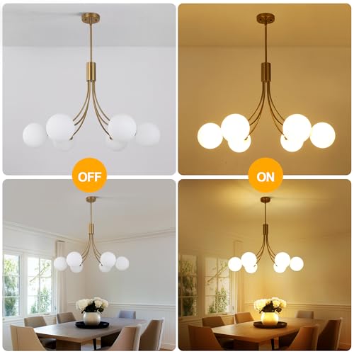 6 Light Modern Farmhouse Gold Chandeliers for Dining Room Light Fixture (6 Count)